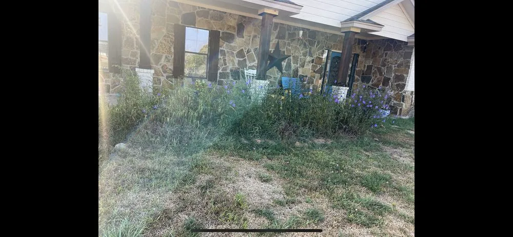 Reliable landscape installation experts serving Angleton, TX - Clean Cut