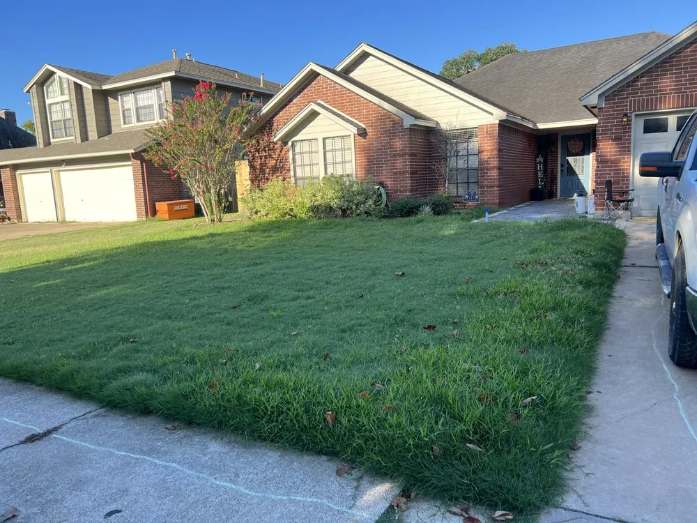 Reliable yard cleanup service in Angleton, TX - Clean Cut