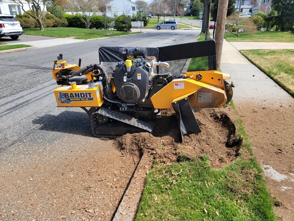 Reliable yard cleanup service for residential properties across Hurdle Mills, NC - Clean Cut Carolina