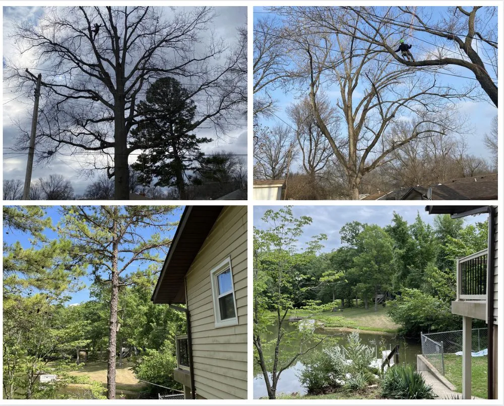 Expert lawn care service experts serving Bonne Terre, MO - Clean Cut Enterprise