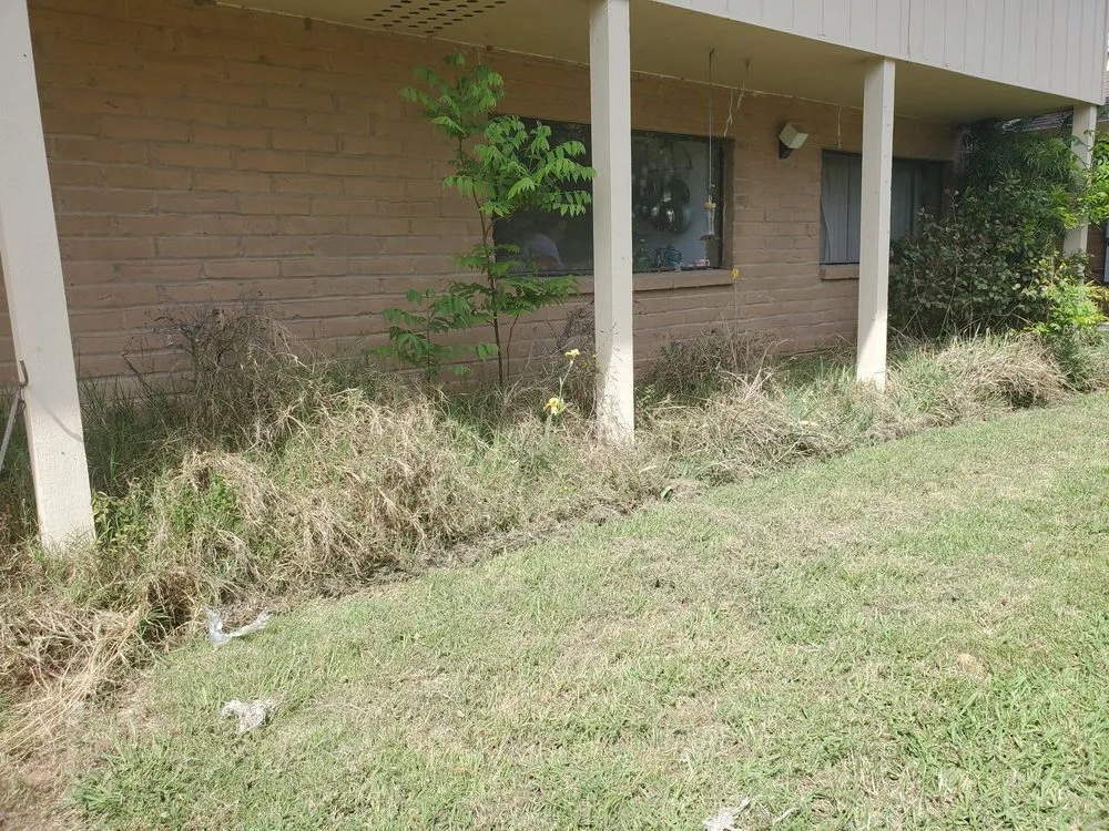 Trusted lawn mowing service near you in Merced, CA by Clean Cut Garden Service