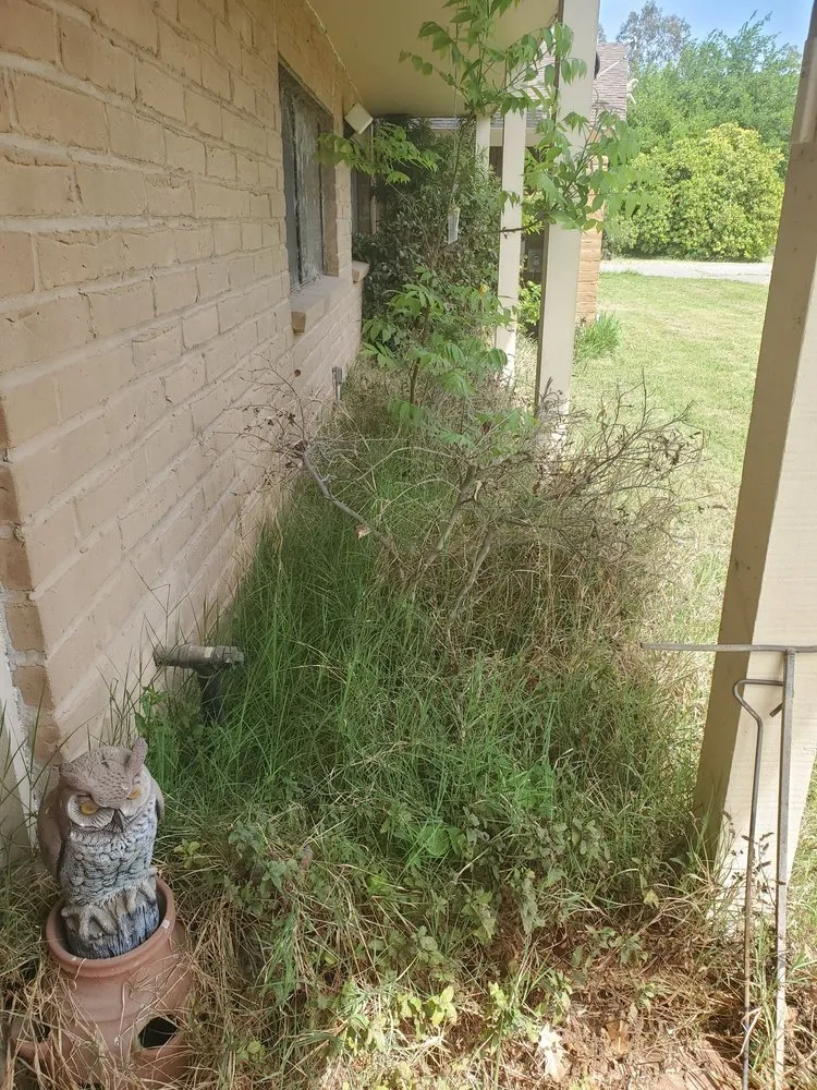 Local outdoor landscaping in Merced, CA by Clean Cut Garden Service