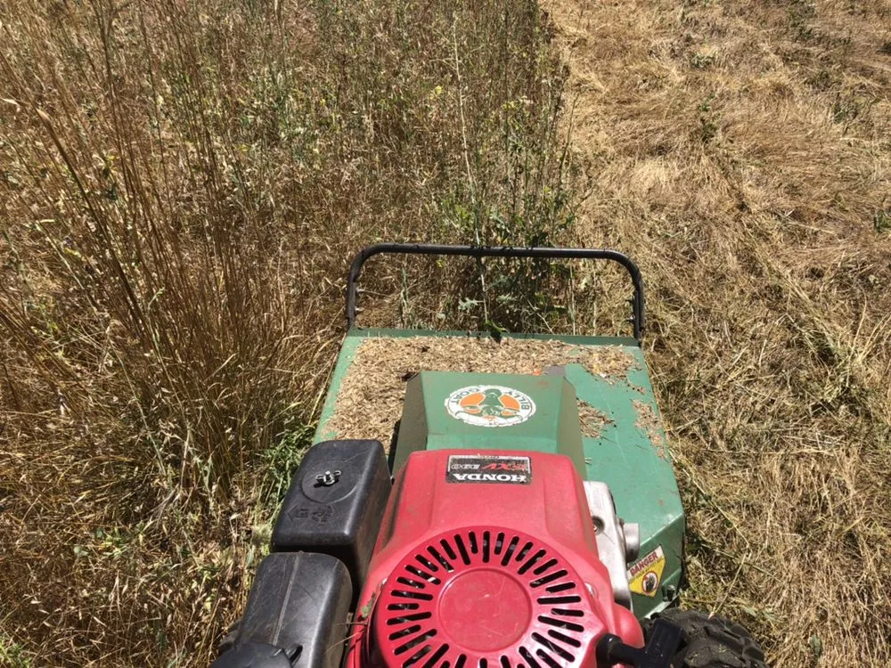 Top-rated lawn care service for outdoor upgrades across Nevada City, CA - Clean Cut Grass