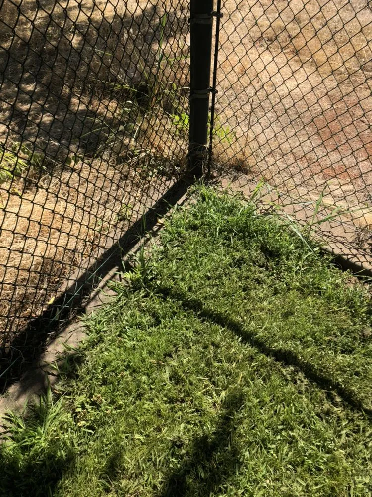 Custom lawn mowing service in Nevada City, CA by Clean Cut Grass