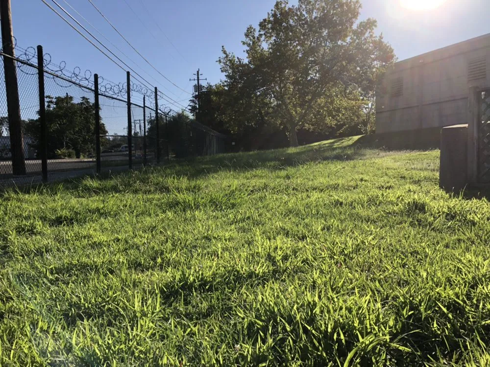 Expert lawn mowing service in Nevada City, CA by Clean Cut Grass