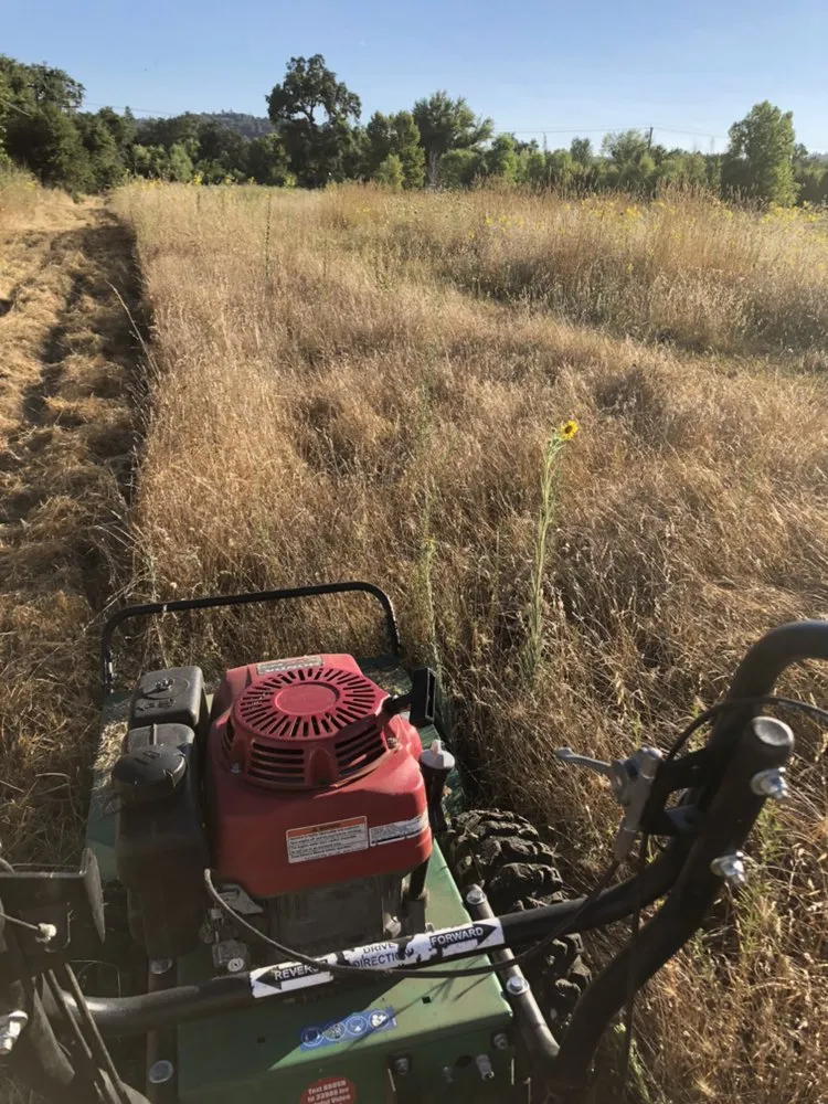 Local garden landscaping for year-round maintenance in Nevada City, CA by Clean Cut Grass