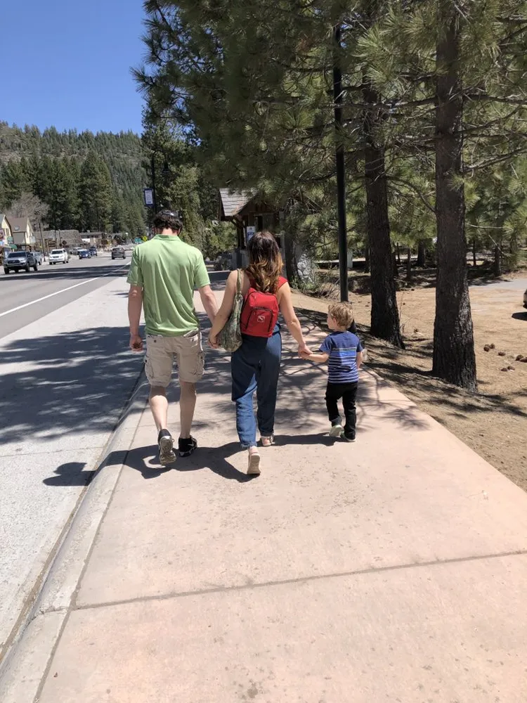 Professional lawn care service for beautiful yards across Nevada City, CA - Clean Cut Grass