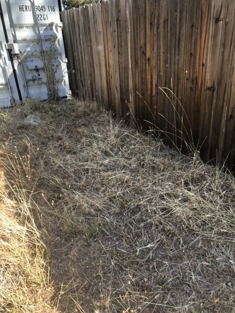 Professional landscape installation in Nevada City, CA by Clean Cut Grass