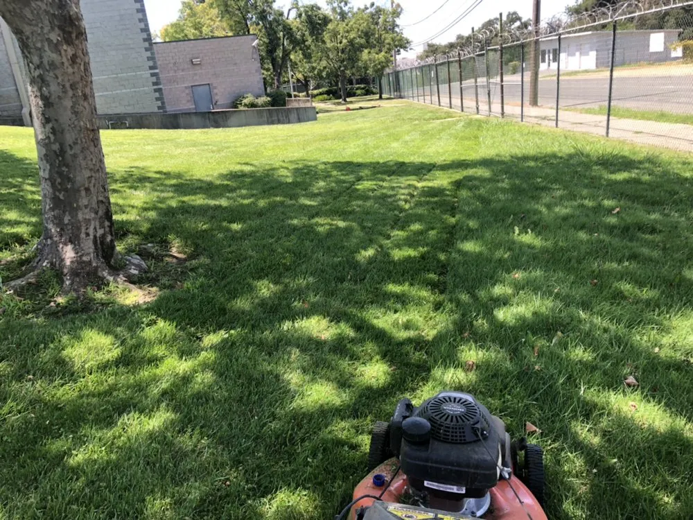 Top-rated landscaping services experts serving Nevada City, CA - Clean Cut Grass