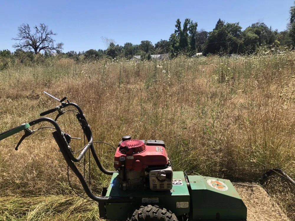 Top-rated landscaping services for year-round maintenance across Nevada City, CA - Clean Cut Grass