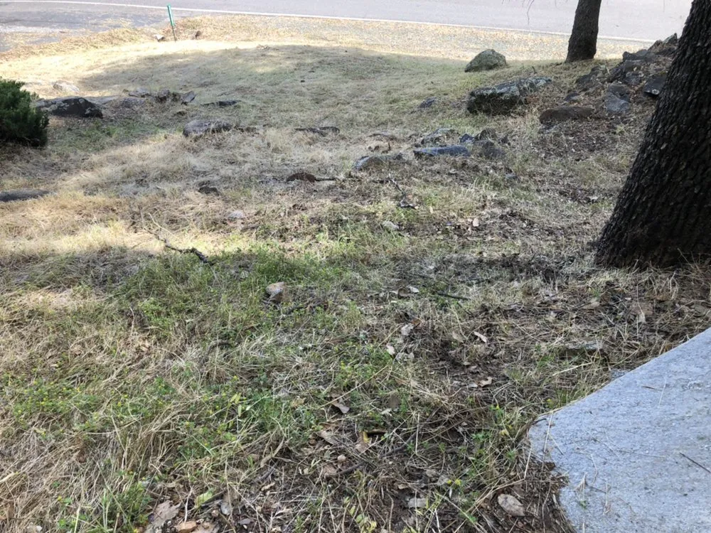 Trusted residential landscaping for residential properties across Nevada City, CA - Clean Cut Grass