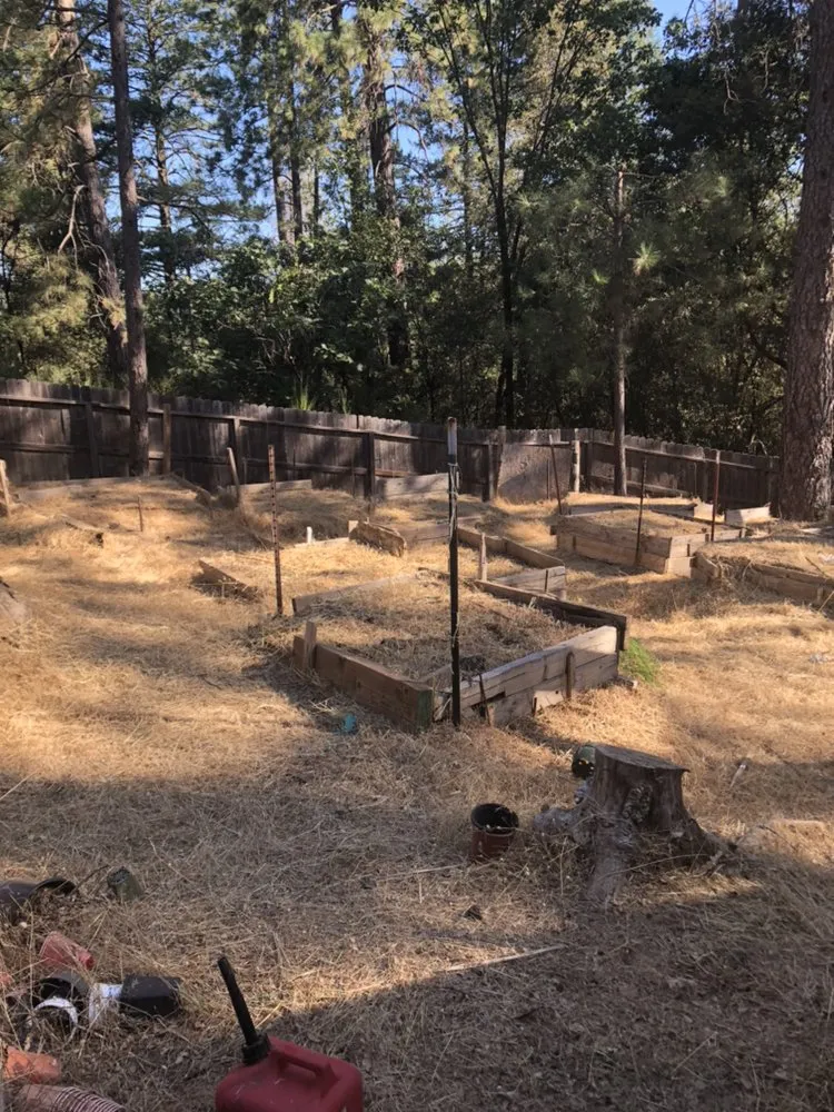 Trusted garden landscaping experts serving Nevada City, CA - Clean Cut Grass