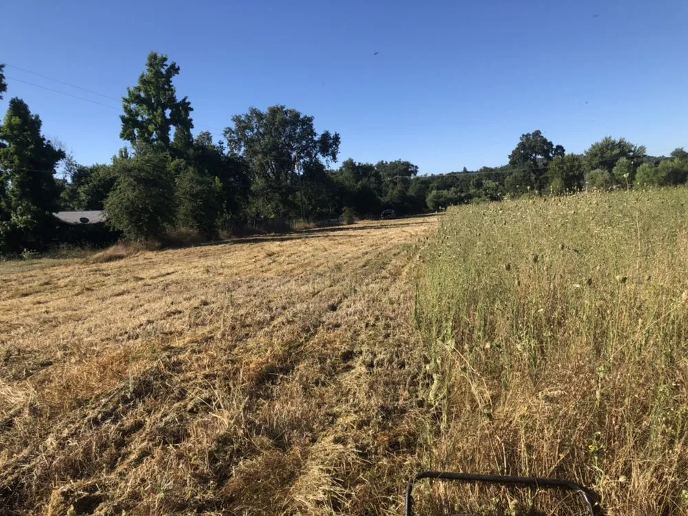 Professional garden landscaping near you across Nevada City, CA - Clean Cut Grass