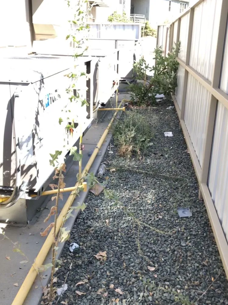 Custom outdoor landscaping experts serving Nevada City, CA - Clean Cut Grass