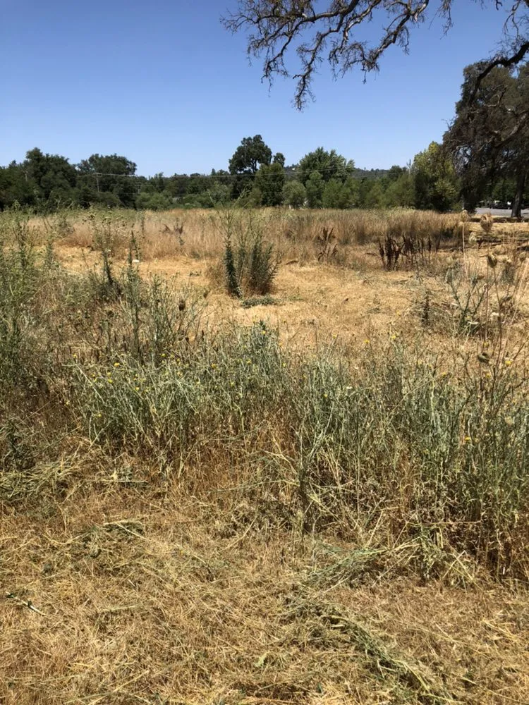 Top-rated lawn mowing service for beautiful yards in Nevada City, CA by Clean Cut Grass