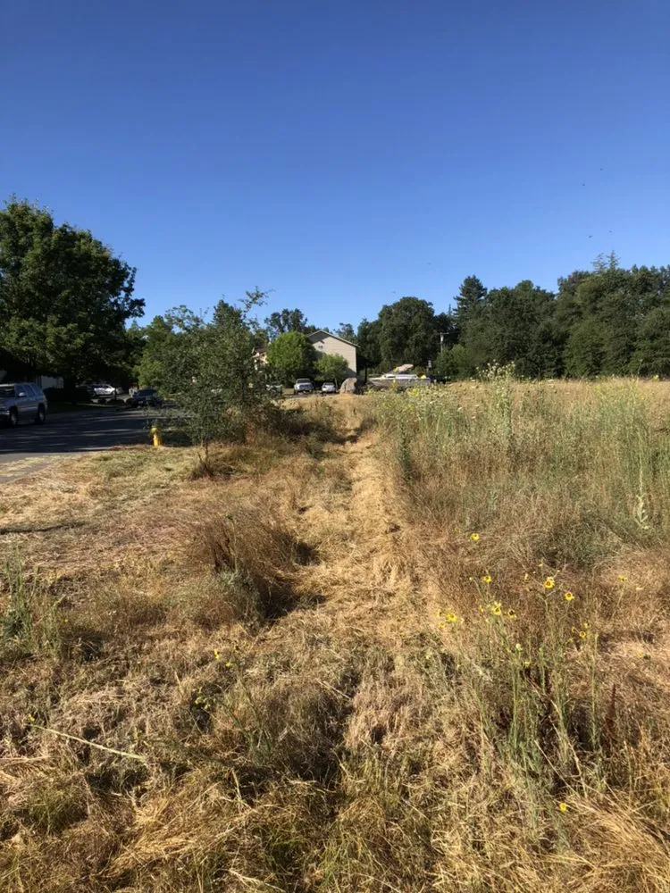 Professional yard maintenance for residential properties across Nevada City, CA - Clean Cut Grass