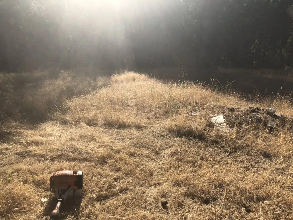 Professional landscaping services experts serving Nevada City, CA - Clean Cut Grass