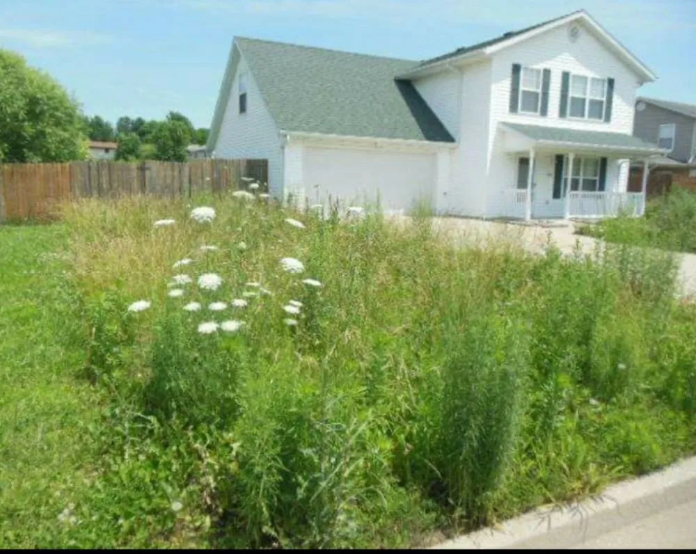 Trusted lawn mowing service in Columbia, MO - Clean Cut Home Service