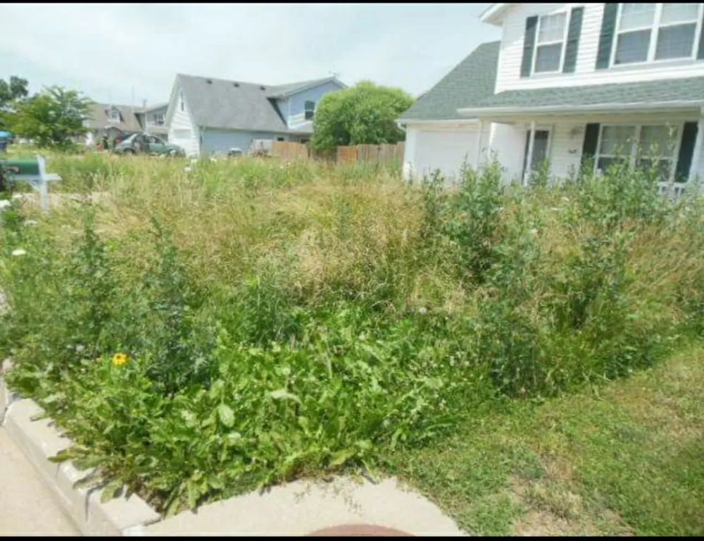 Reliable lawn care service for year-round maintenance in Columbia, MO by Clean Cut Home Service