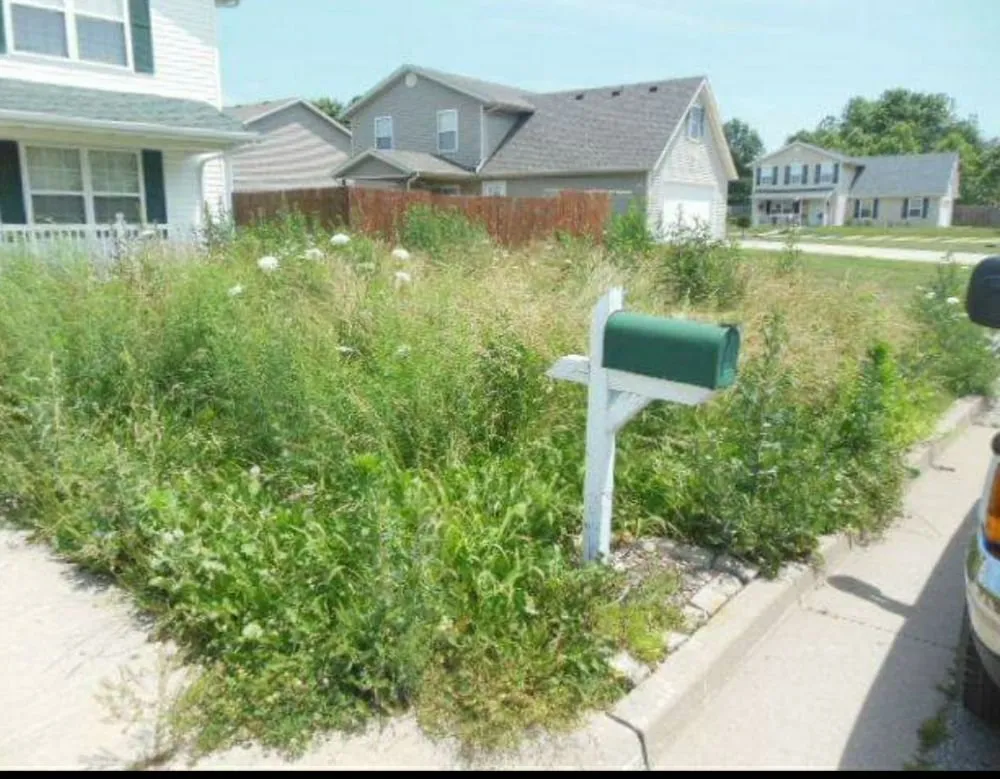 Reliable garden landscaping in Columbia, MO - Clean Cut Home Service