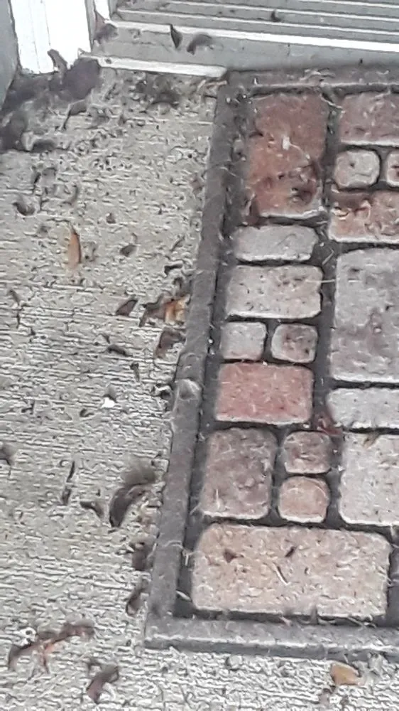 Reliable landscape installation in Lynden, WA - Clean Cut Landscape & Design