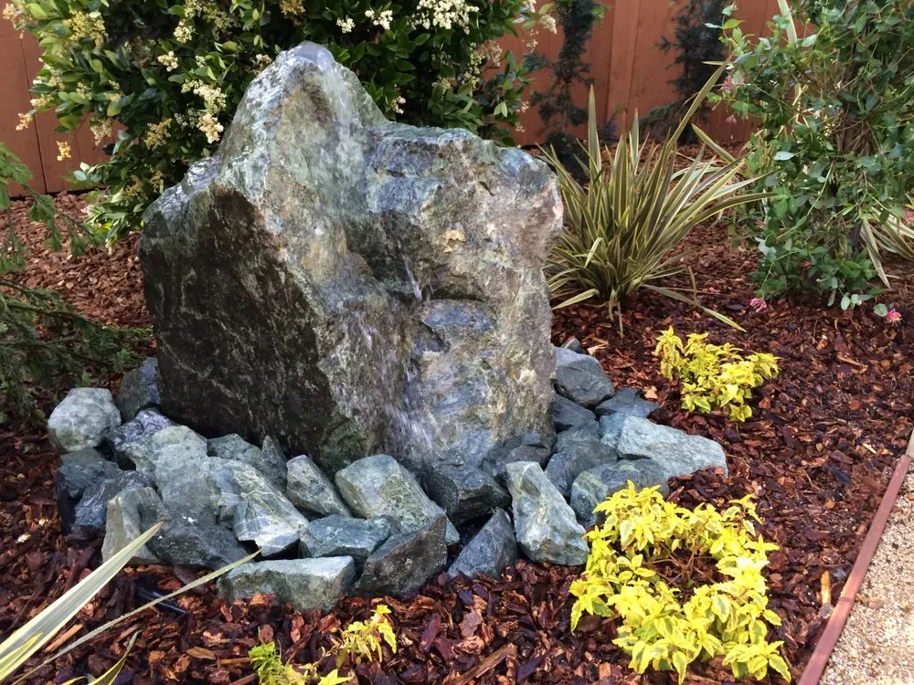 Trusted yard cleanup service for year-round maintenance in Auburn, CA by Clean Cut Landscape