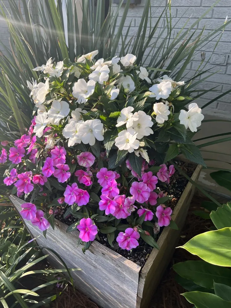 Local landscape design in Kenner, LA - Clean Cut Landscape Co.