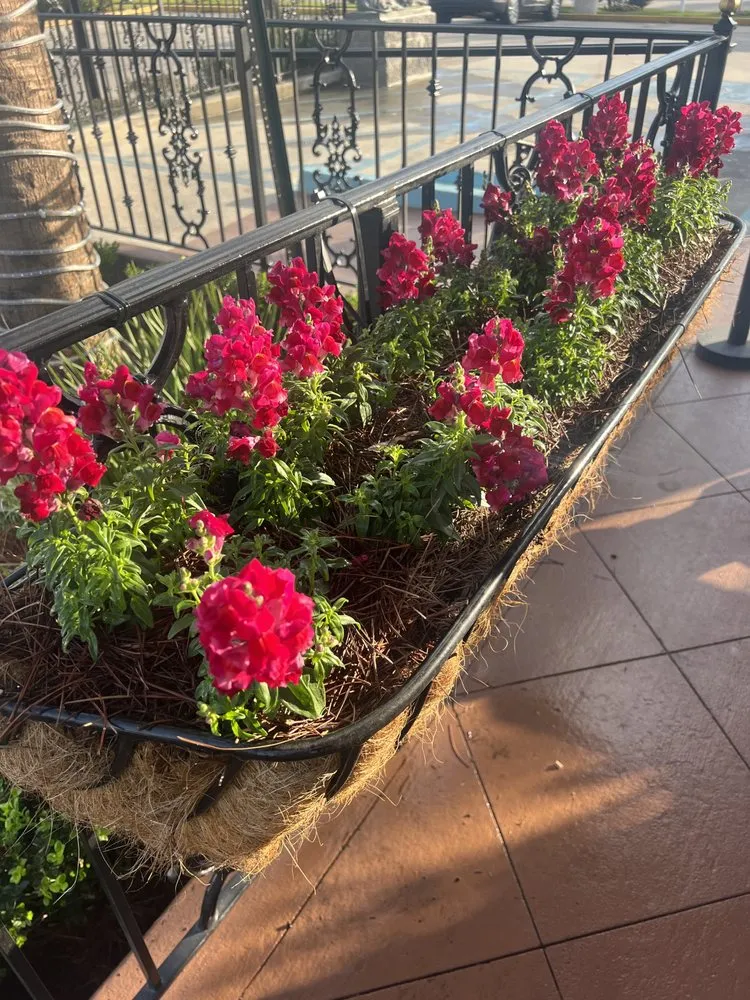 Professional landscaping services for residential properties across Kenner, LA - Clean Cut Landscape Co.