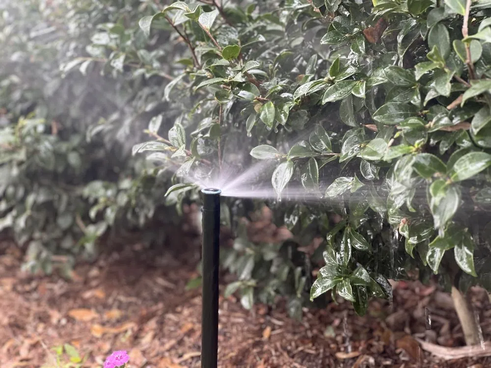 Local outdoor landscaping in Kenner, LA by Clean Cut Landscape Co.