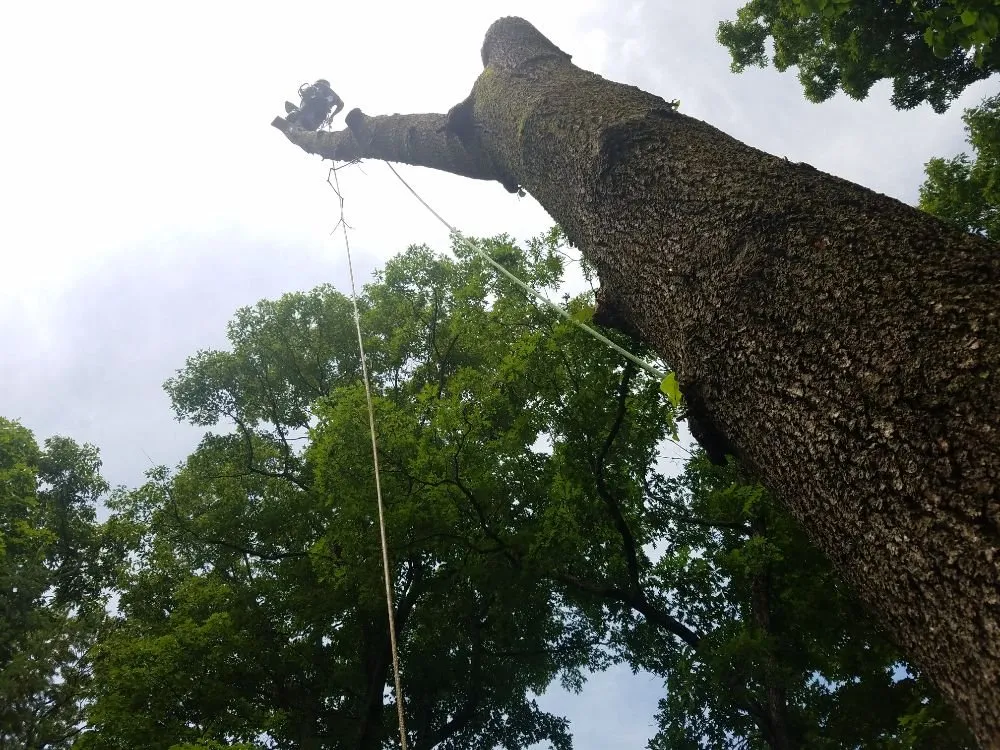 Trusted outdoor landscaping for outdoor upgrades across Bridgewater, NJ - Clean Cut Landscape Services