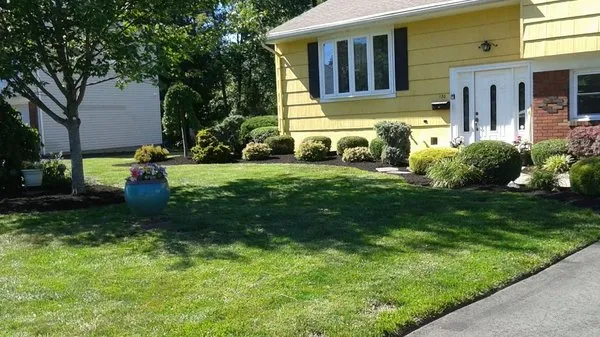 Clean Cut Landscape Services