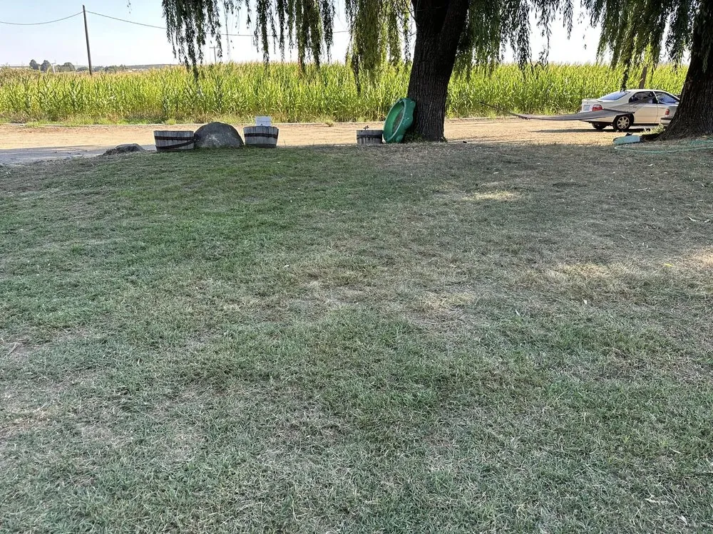 Trusted residential landscaping experts serving Sunnyside, WA - Clean Cut Landscape