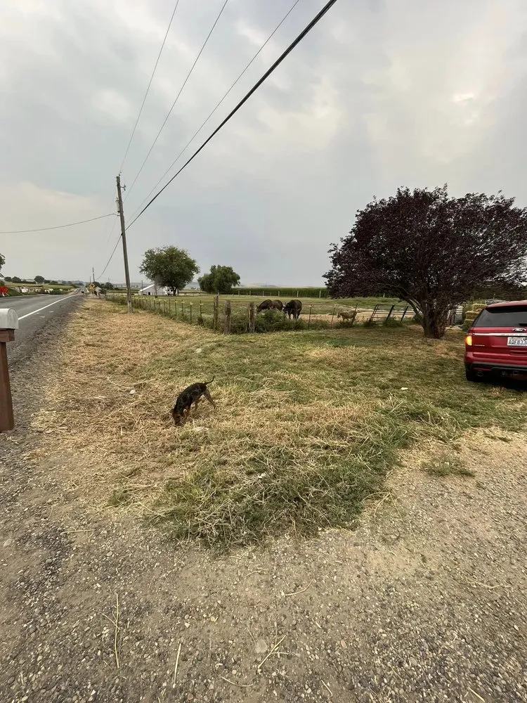 Local garden landscaping experts serving Sunnyside, WA - Clean Cut Landscape