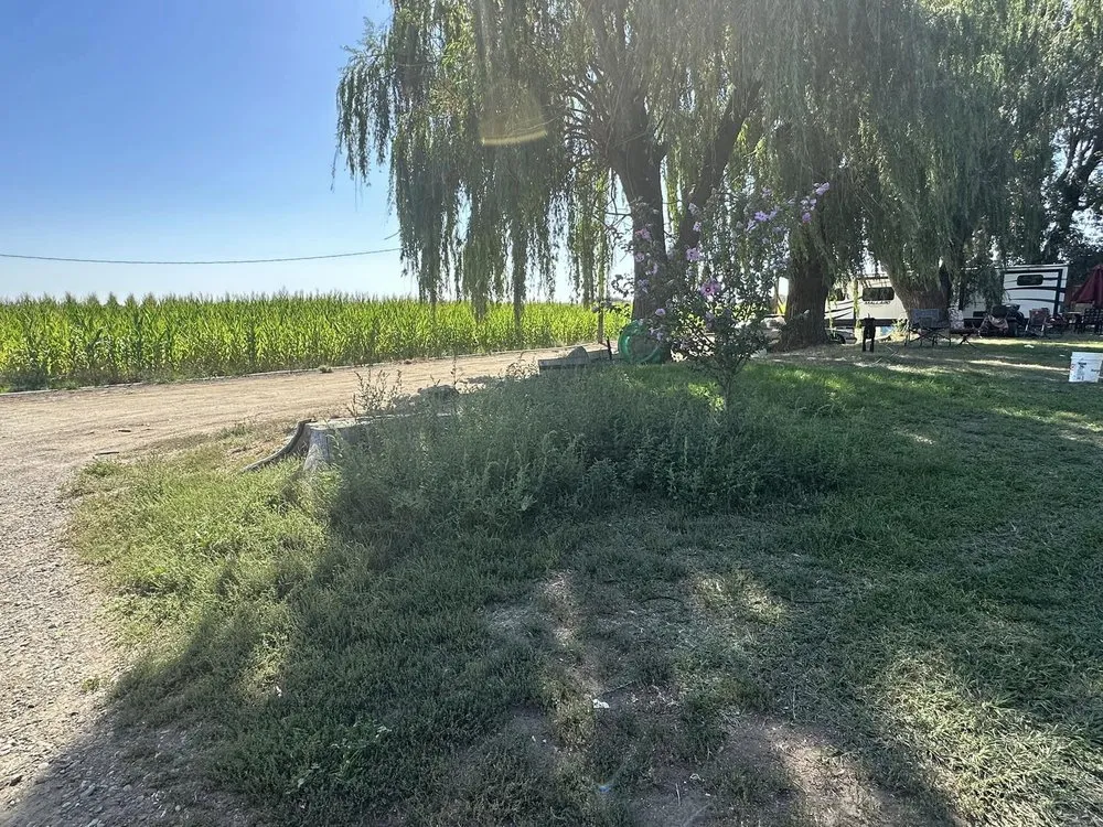 Affordable landscape design for year-round maintenance across Sunnyside, WA - Clean Cut Landscape