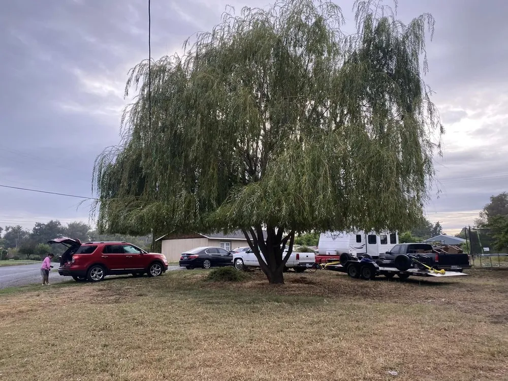 Top-rated lawn care service for residential properties across Sunnyside, WA - Clean Cut Landscape