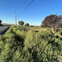 Trusted landscape design for beautiful yards in Sunnyside, WA by Clean Cut Landscape