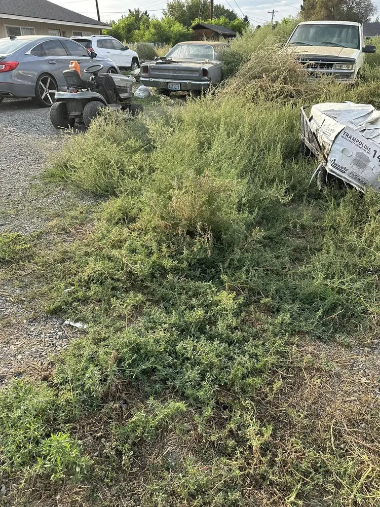 Expert yard cleanup service experts serving Sunnyside, WA - Clean Cut Landscape