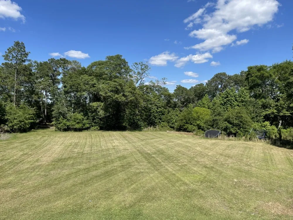 Expert yard maintenance in Myrtle Beach, SC - Clean-Cut Landscaping & More