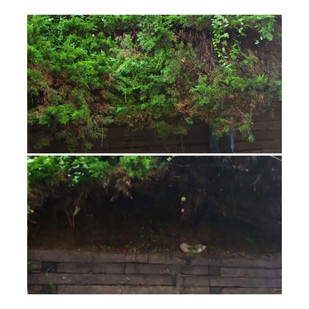 Trusted yard maintenance in Gainesville, GA by Clean Cut Landscaping And Lawn Care