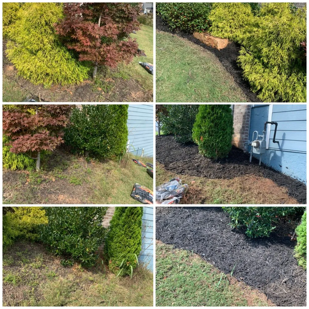 Professional yard cleanup service in Gainesville, GA by Clean Cut Landscaping And Lawn Care