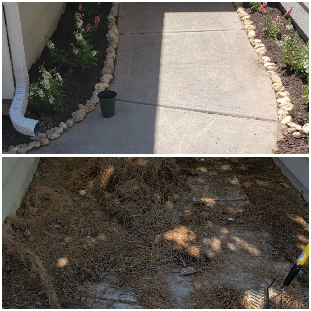 Reliable residential landscaping for year-round maintenance in Gainesville, GA by Clean Cut Landscaping And Lawn Care