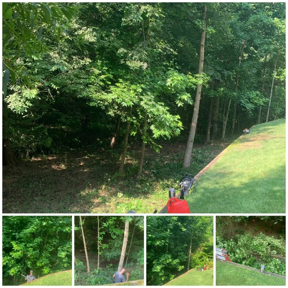 Trusted lawn mowing service in Gainesville, GA by Clean Cut Landscaping And Lawn Care