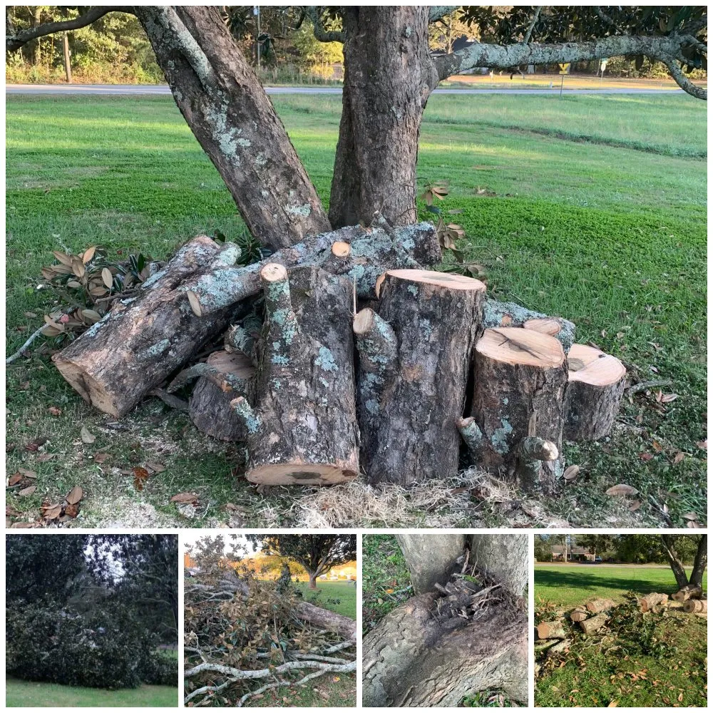 Reliable landscape installation experts serving Gainesville, GA - Clean Cut Landscaping And Lawn Care