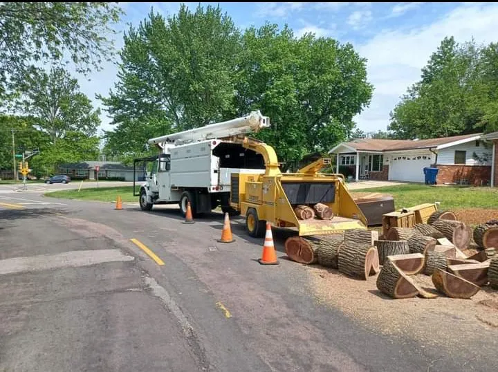 Professional lawn care service in Saint Charles, MO by Clean Cut Landscaping and Tree Services