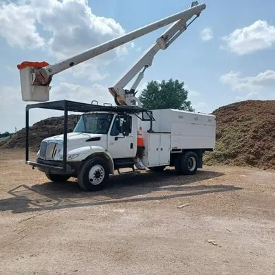 Clean Cut Landscaping and Tree Services Logo