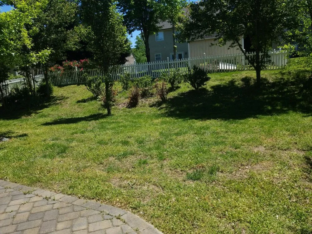 Expert garden landscaping in Charlotte, NC - Clean Cut Landscaping