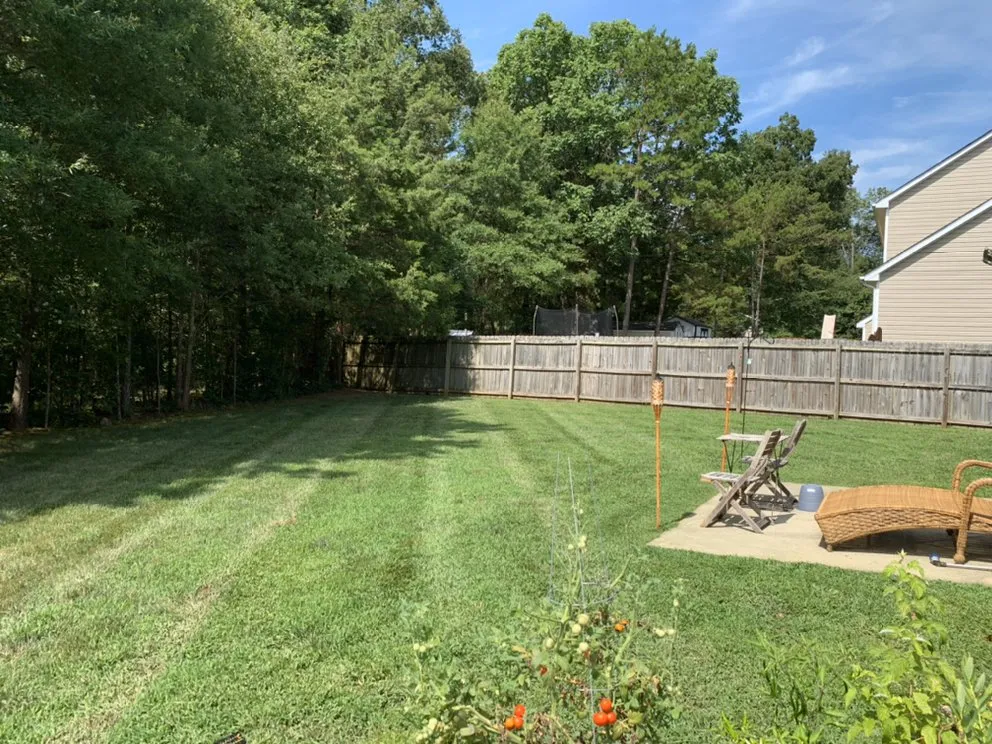 Expert yard cleanup service in Charlotte, NC - Clean Cut Landscaping