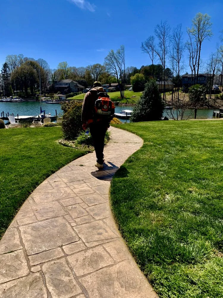 Top-rated yard cleanup service experts serving Charlotte, NC - Clean Cut Landscaping