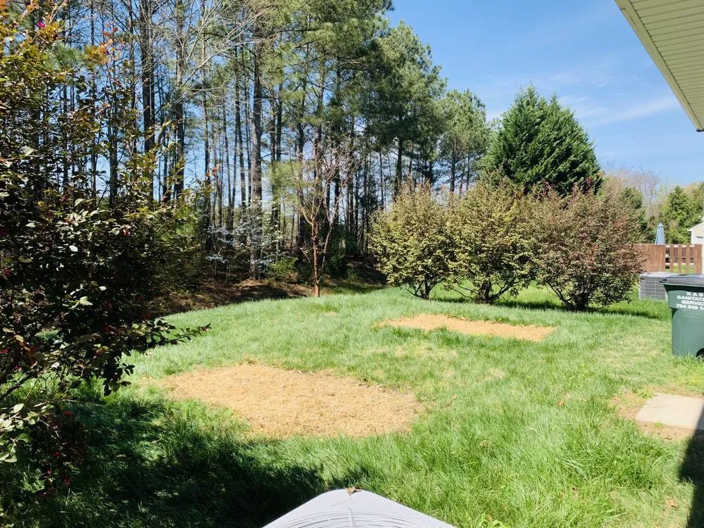 Custom yard cleanup service in Charlotte, NC by Clean Cut Landscaping