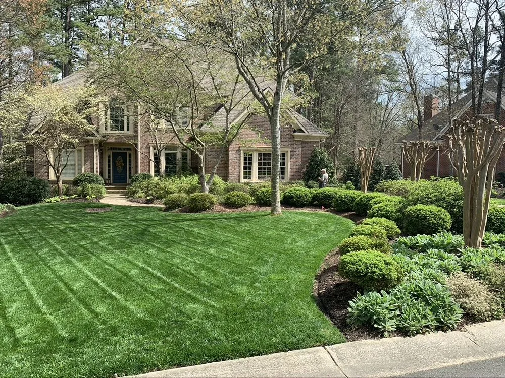 Local yard cleanup service in Charlotte, NC - Clean Cut Landscaping